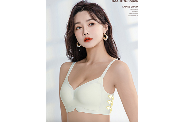 Seamless Underwear For Women, Jelly Strips, Soft Support, Gathering, Anti-Sagging, Thin Style, Small Chest, Big, No Steel Ring Bra 055